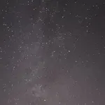 Διαμέρισμα Dolphin View Lambs Head