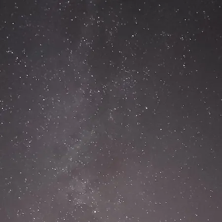 アパート Dolphin View Lambs Head