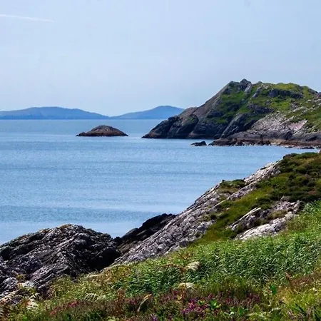 Dolphin View Lambs Head * カアーダニエル