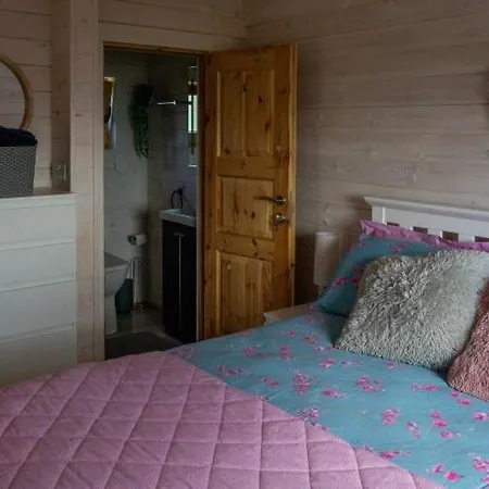 Dolphin View Lambs Head Apartament