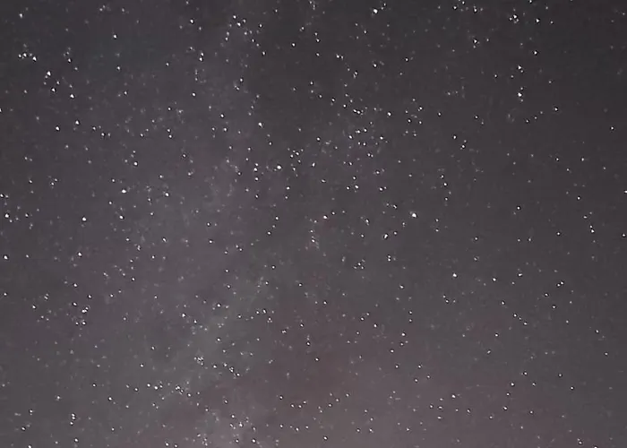 Apartmán Dolphin View Lambs Head