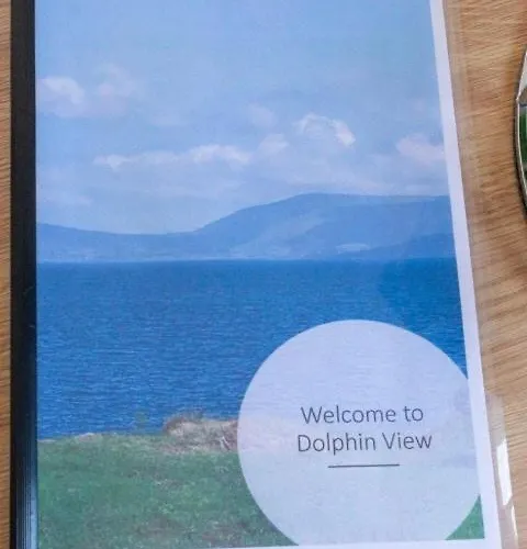 Dolphin View Lambs Head